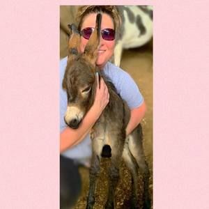 Meet your Posher, Bridgett